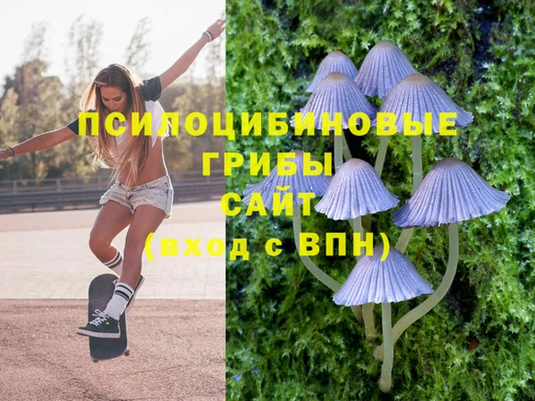 мяу мяу мука Горнозаводск