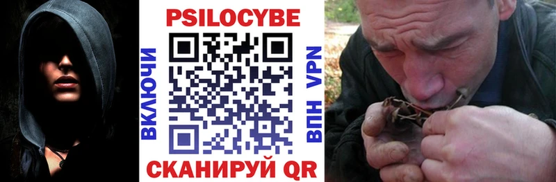 продажа наркотиков  blacksprut ССЫЛКА  Галлюциногенные грибы ЛСД  Кашин 