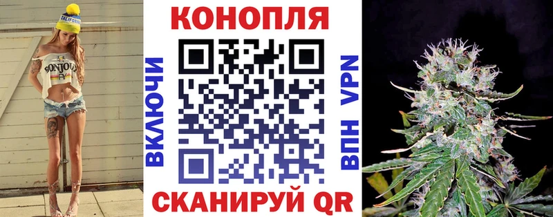 OMG ТОР  Кашин  Бошки марихуана AK-47  где продают  